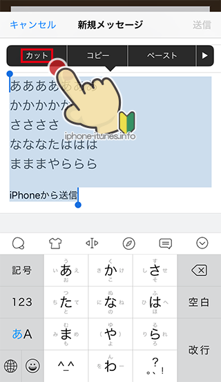 iPhoneのメールに貼り付けたテキストをカット